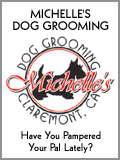 Click to view Michelle's Dog Grooming ...